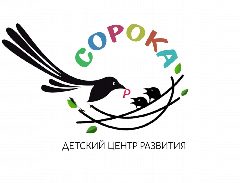 Канал ДЦР "СОРОКА" в мессенджере MAX — 18 подписчиков