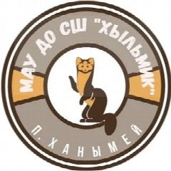 Канал МАУ ДО СШ "Хыльмик" в мессенджере MAX — 45 подписчиков