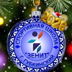 Канал МБУ ДО СШ «Зенит» город Губкинский в мессенджере MAX — 95 подписчиков