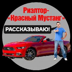 Канал Решэлторъ Красный Мустанг | Блог Алексея Калашникова в мессенджере MAX — 247 подписчиков