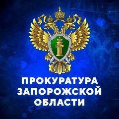 Канал ПРОКУРАТУРА ЗАПОРОЖСКОЙ ОБЛАСТИ в мессенджере MAX — 428 подписчиков