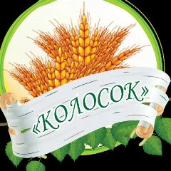 Канал ГБУ ДОО ЗО "АЛЕКСЕЕВСКИЙ ДЕТСКИЙ САД "КОЛОСОК" КУЙБЫШЕВСКОГО РАЙОНА в мессенджере MAX — 19 подписчиков
