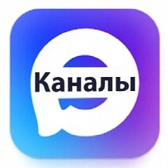 Канал МОУ "Школа-коллегиум им. С.Е. Иванова" в мессенджере MAX — 365 подписчиков