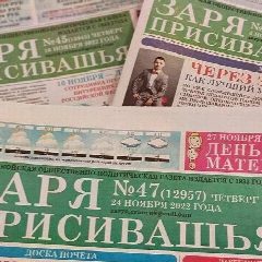 Канал МБУ Джанкойского района РК "ДИА "Заря Присивашья" в мессенджере MAX — 19 подписчиков
