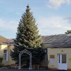 Канал Официальный канал МБОУ "Николаевская школа" в мессенджере MAX — 251 подписчик