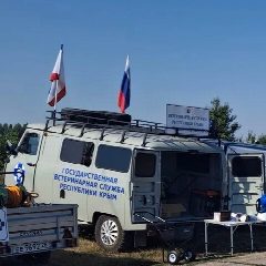 Канал ГБУ «ЛЕНИНСКИЙ РАЙОННЫЙ ВЛПЦ» в мессенджере MAX — 30 подписчиков