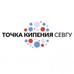 Канал Предпринимательская точка кипения СевГУ в мессенджере MAX — 255 подписчиков
