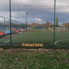 Канал МБУ "ФСК "Авангард" Администрации Шахтерского муниципального округа в мессенджере MAX — 17 подписчиков