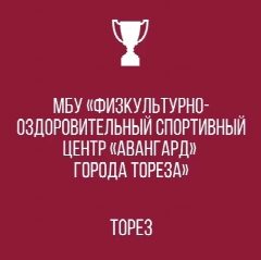 Канал МБУ "ФОСЦ "АВАНГАРД" г. о. ТОРЕЗ" в мессенджере MAX — 29 подписчиков