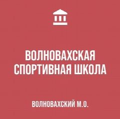 Канал Волновахская спортивная школа в мессенджере MAX — 46 подписчиков