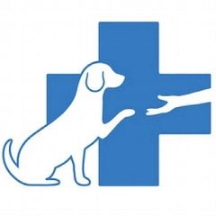 Канал ГБУ"ГВБ г.ЕНАКИЕВО " в мессенджере MAX — 42 подписчика