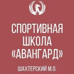Канал МБУ ДО СШ "Авангард" Администрации Шахтерского м.о. в мессенджере MAX — 12 подписчиков