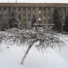Канал Управа Куйбышевского внутригородского района в мессенджере MAX — 458 подписчиков