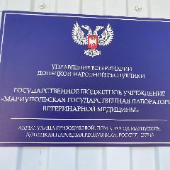 Канал ГБУ «МГЛВМ» в мессенджере MAX — 64 подписчика