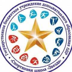 Канал ГБУ ДО ЛНР "СШ "Звезда" в мессенджере MAX — 44 подписчика