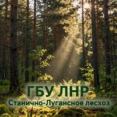 Канал ГБУ ЛНР "Станично-Луганское лесхоз" в мессенджере MAX — 21 подписчик