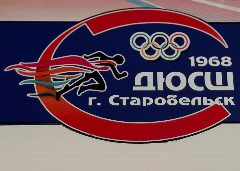 Канал МБУ ДО «Старобельская ДЮСШ» в мессенджере MAX — 20 подписчиков