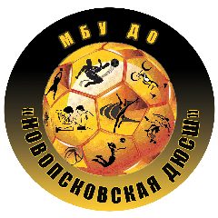 Канал МБУ ДО "Новопсковская ДЮСШ" в мессенджере MAX — 86 подписчиков