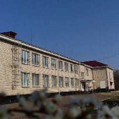 Канал ГБОУ ЛНР "Булавиновская ОШ" в мессенджере MAX — 20 подписчиков