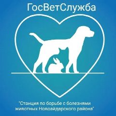 Канал ГБУ ЛНР "СББЖ Новоайдарского района" в мессенджере MAX — 18 подписчиков