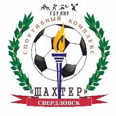 Канал ГБУ ЛНР «СК «Шахтер» в мессенджере MAX — 31 подписчик
