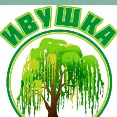 Канал Дошкольное учреждение"ИВУШКА" в мессенджере MAX — 42 подписчика