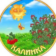 Канал ГБДОУ ЛНР "Краснолучский ясли-сад √34 "Калинка " в мессенджере MAX — 21 подписчик
