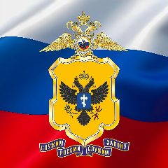 Канал ГУ МВД России по Херсонской области в мессенджере MAX — 663 подписчика