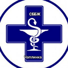 Канал ГБУ Херсонской области"СББЖ Чаплынского муниципального округа" в мессенджере MAX — 77 подписчиков