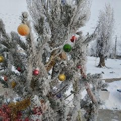 Канал Отдел по работе села Райское в мессенджере MAX — 41 подписчик