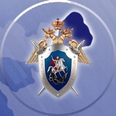 Канал Следком ЛНР в мессенджере MAX — 381 подписчик