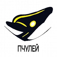 Канал Пчулей 🐝 Подработка 🐝 НаймПро в мессенджере MAX — 35 подписчиков