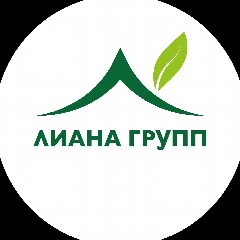 Канал УК Лиана Групп в мессенджере MAX — 79 подписчиков