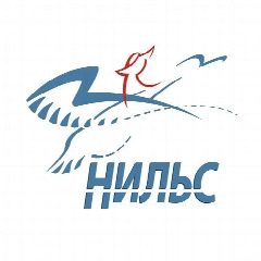 Канал НИЛЬС-туроператор путешествий в мессенджере MAX — 187 подписчиков