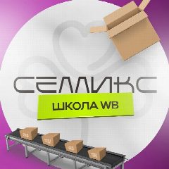 Канал Обучение WB и OZON | Селликс.Обучит в мессенджере MAX — 65 подписчиков