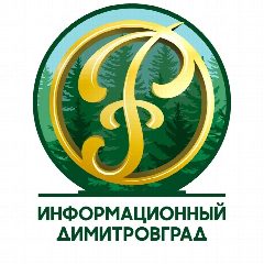 Канал Информационный Димитровград в мессенджере MAX — 14 433 подписчика