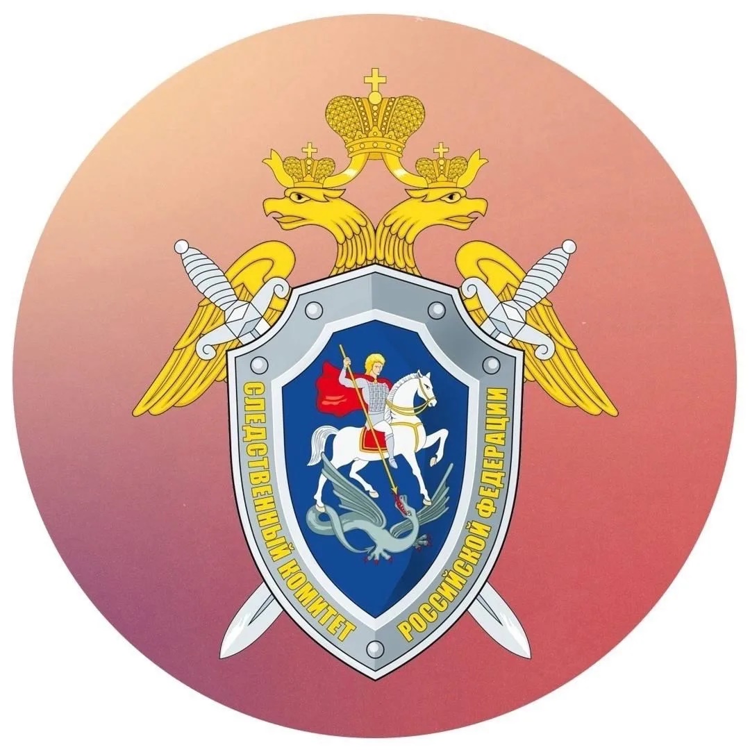 Канал Информационный центр СК России в мессенджере MAX — 7 401 подписчик