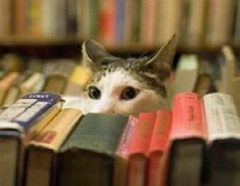 Канал Книги по истории и не только в мессенджере MAX — 379 подписчиков