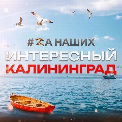 Канал Интересный Калининград в мессенджере MAX — 1 693 подписчика