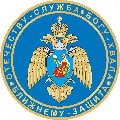 Канал ИПСА ГПС МЧС России в мессенджере MAX — 1 993 подписчика
