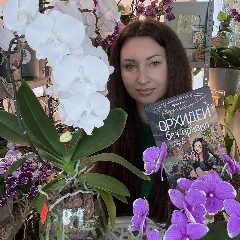 Канал Ирина Давтян Орхидеи в мессенджере MAX — 5 542 подписчика