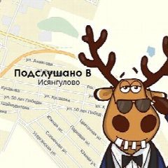Канал Подслушано [B] Исянгулово в мессенджере MAX — 1 195 подписчиков