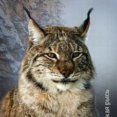 Канал Ивановский зоологический парк / Ivanovo Zoo в мессенджере MAX — 25 подписчиков