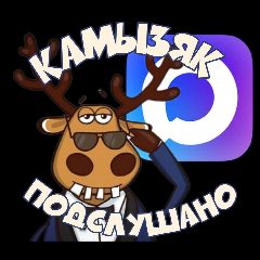 Канал КАМЫЗЯК ПОДСЛУШАНО в мессенджере MAX — 3 176 подписчиков
