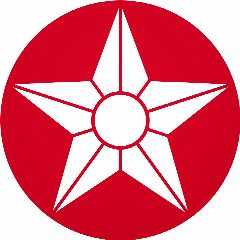 Канал JAPAN STAR | Автомобили под заказ в мессенджере MAX — 551 подписчик