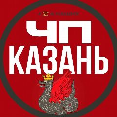 Канал ЧП Казань в мессенджере MAX — 7 642 подписчика
