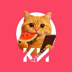 Канал Краснодарские известия в мессенджере MAX — 17 232 подписчика