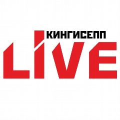 Канал Кингисепп |Live в мессенджере MAX — 6 854 подписчика