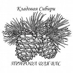 Канал Кладовая Сибири - Ремесленный чай и косметика ручной работы в мессенджере MAX — 1 940 подписчиков