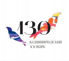 Канал Калининградский зоопарк в мессенджере MAX — 1 724 подписчика